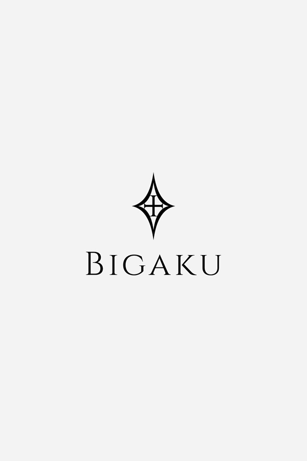 画像未登録時の代替え画像のBIGAKUのロゴバナー